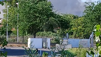 Incendie à Perpignan - Pyrénées-Orientales - 9 juillet 2026 - Feux de forêts et d'espaces naturels