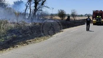 Incendie à Corbas - Métropole de Lyon - 9 juillet 2026 - Feux de forêts et d'espaces naturels