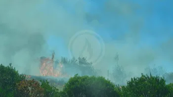 Incendie à Corbas - Métropole de Lyon - 9 juillet 2026 - Feux de forêts et d'espaces naturels