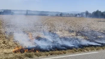 Incendie à Corbas - Métropole de Lyon - 9 juillet 2026 - Feux de forêts et d'espaces naturels