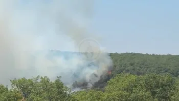 Incendie à Veyrines-de-Domme - Dordogne - 9 juillet 2026 - Feux de forêts et d'espaces naturels