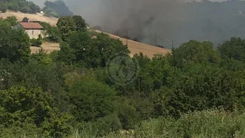 Incendie à Veyrines-de-Domme - Dordogne - 9 juillet 2026 - Feux de forêts et d'espaces naturels