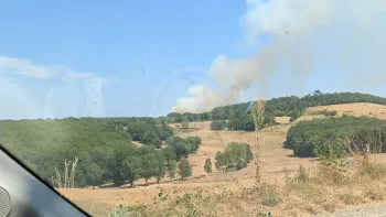 Incendie à Veyrines-de-Domme - Dordogne - 9 juillet 2026 - Feux de forêts et d'espaces naturels