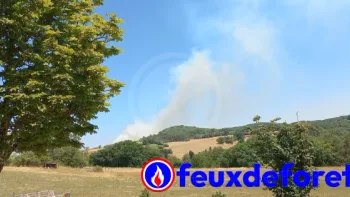 Incendie à Veyrines-de-Domme - Dordogne - 9 juillet 2026 - Feux de forêts et d'espaces naturels