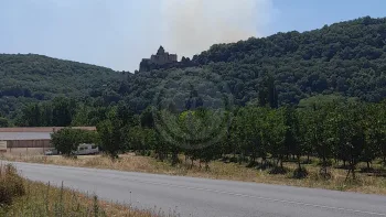 Incendie à Veyrines-de-Domme - Dordogne - 9 juillet 2026 - Feux de forêts et d'espaces naturels