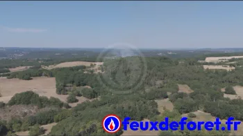 Incendie à Veyrines-de-Domme - Dordogne - 9 juillet 2026 - Feux de forêts et d'espaces naturels