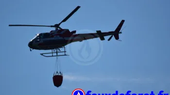Incendie à Veyrines-de-Domme - Dordogne - 9 juillet 2026 - Feux de forêts et d'espaces naturels