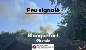 Incendie à Blanquefort (33) : le feu est éteint
