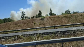Incendie à Olivet - Loiret - 9 juillet 2026 - Feux de forêts et d'espaces naturels