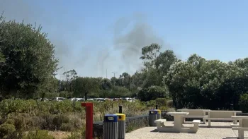 Incendie à Rivesaltes - Pyrénées-Orientales - 9 juillet 2026 - Feux de forêts et d'espaces naturels