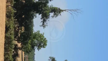 Incendie à Aurouër - Allier - 9 juillet 2026 - Feux de forêts et d'espaces naturels
