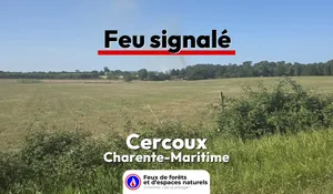 Cercoux (17)
