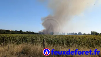 Incendie à Nîmes - Gard - 9 juillet 2026 - Feux de forêts et d'espaces naturels