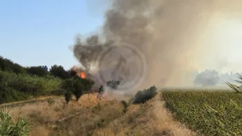 Incendie à Nîmes - Gard - 9 juillet 2026 - Feux de forêts et d'espaces naturels