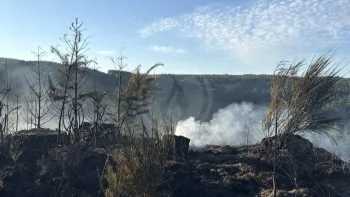 Incendie à La Tuilière - Loire - 9 juillet 2026 - Feux de forêts et d'espaces naturels
