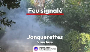 Incendie à Jonquerettes (84) : le feu est éteint
