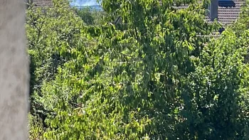 Incendie à Saulcy-sur-Meurthe - Vosges - 10 juillet 2026 - Feux de forêts et d'espaces naturels
