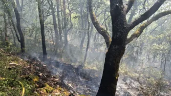 Incendie à Esclauzels - Lot - 10 juillet 2026 - Feux de forêts et d'espaces naturels