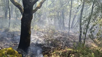 Incendie à Esclauzels - Lot - 10 juillet 2026 - Feux de forêts et d'espaces naturels