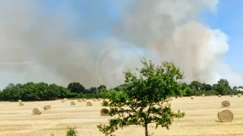 Incendie à La Séguinière - Maine-et-Loire - 10 juillet 2026 - Feux de forêts et d'espaces naturels