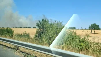 Incendie à La Séguinière - Maine-et-Loire - 10 juillet 2026 - Feux de forêts et d'espaces naturels