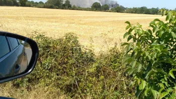 Incendie à La Séguinière - Maine-et-Loire - 10 juillet 2026 - Feux de forêts et d'espaces naturels