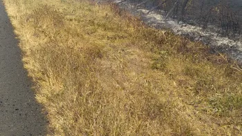 Incendie à La Séguinière - Maine-et-Loire - 10 juillet 2026 - Feux de forêts et d'espaces naturels