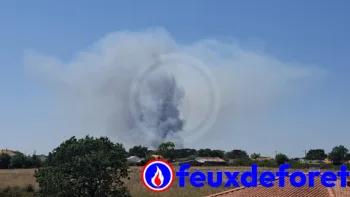 Incendie à La Plaine-sur-Mer - Loire-Atlantique - 10 juillet 2026 - Feux de forêts et d'espaces naturels