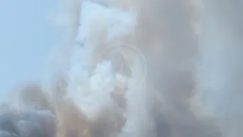 Incendie à La Plaine-sur-Mer - Loire-Atlantique - 10 juillet 2026 - Feux de forêts et d'espaces naturels