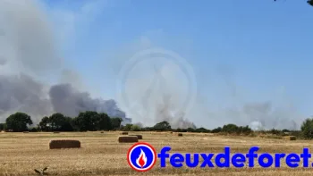 Incendie à La Plaine-sur-Mer - Loire-Atlantique - 10 juillet 2026 - Feux de forêts et d'espaces naturels