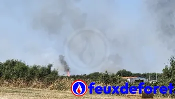 Incendie à La Plaine-sur-Mer - Loire-Atlantique - 10 juillet 2026 - Feux de forêts et d'espaces naturels