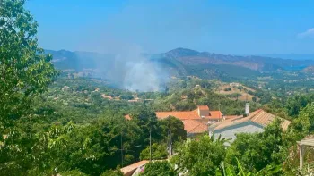 Incendie à Oletta - Haute-Corse - 10 juillet 2026 - Feux de forêts et d'espaces naturels