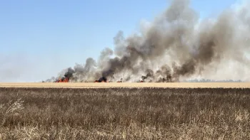 Incendie à Le Vieil-Évreux - Eure - 10 juillet 2026 - Feux de forêts et d'espaces naturels