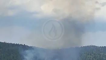 Incendie à Oyonnax - Ain - 10 juillet 2026 - Feux de forêts et d'espaces naturels