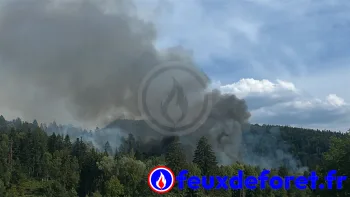 Incendie à Oyonnax - Ain - 10 juillet 2026 - Feux de forêts et d'espaces naturels