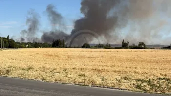 Incendie à Hanches - Eure-et-Loir - 10 juillet 2026 - Feux de forêts et d'espaces naturels