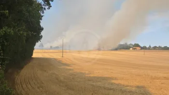 Incendie à Val-du-Mignon - Deux-Sèvres - 10 juillet 2026 - Feux de forêts et d'espaces naturels