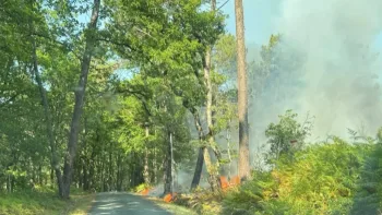 Incendie à Cornille - Dordogne - 10 juillet 2026 - Feux de forêts et d'espaces naturels
