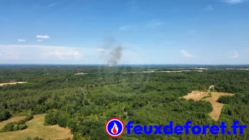 Incendie à Cornille - Dordogne - 10 juillet 2026 - Feux de forêts et d'espaces naturels
