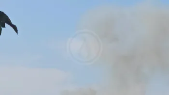 Incendie à Cornille - Dordogne - 10 juillet 2026 - Feux de forêts et d'espaces naturels