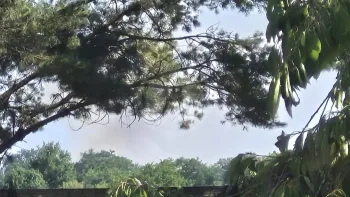Incendie à Pompaire - Deux-Sèvres - 10 juillet 2026 - Feux de forêts et d'espaces naturels
