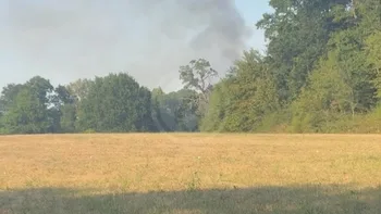 Incendie à Haute-Goulaine - Loire-Atlantique - 10 juillet 2026 - Feux de forêts et d'espaces naturels