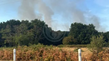 Incendie à Haute-Goulaine - Loire-Atlantique - 10 juillet 2026 - Feux de forêts et d'espaces naturels