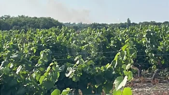Incendie à Haute-Goulaine - Loire-Atlantique - 10 juillet 2026 - Feux de forêts et d'espaces naturels