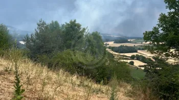 Incendie à Saint-Vidal - Haute-Loire - 10 juillet 2026 - Feux de forêts et d'espaces naturels