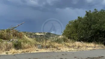 Incendie à Saint-Vidal - Haute-Loire - 10 juillet 2026 - Feux de forêts et d'espaces naturels