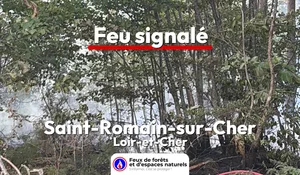 Incendie à Saint-Romain-sur-Cher (41) : le feu est éteint