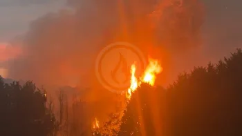 Incendie à Amplepuis - Rhône - 10 juillet 2026 - Feux de forêts et d'espaces naturels