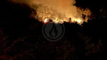 Incendie à Cercoux - Charente-Maritime - 11 juillet 2026 - Feux de forêts et d'espaces naturels