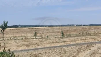 Incendie à La Chapelotte - Cher - 11 juillet 2026 - Feux de forêts et d'espaces naturels